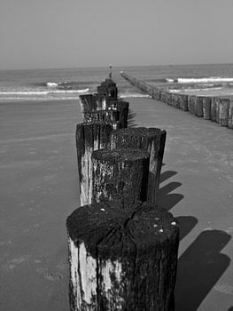 Met z'n allen in een rij