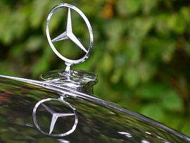 Star ... by DeVerviersBelgium