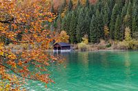 Herfstmagie
