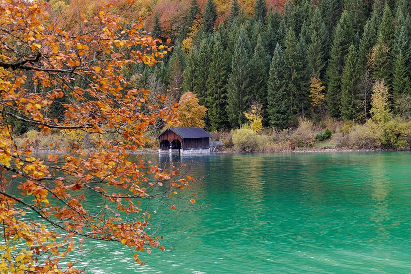 Magie de l'automne par Robert Hoiss