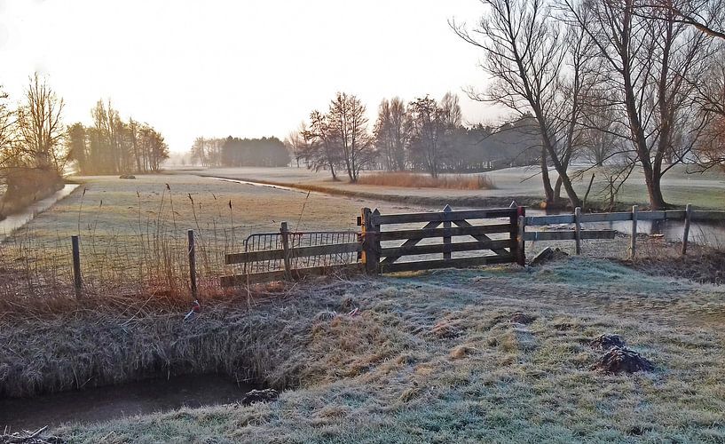 Winterochtend by Rinke Velds