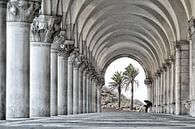 Contemplation, Venice 2007 von Xlix Fotografie Miniaturansicht