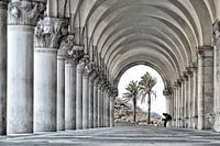 Contemplation, Venice 2007