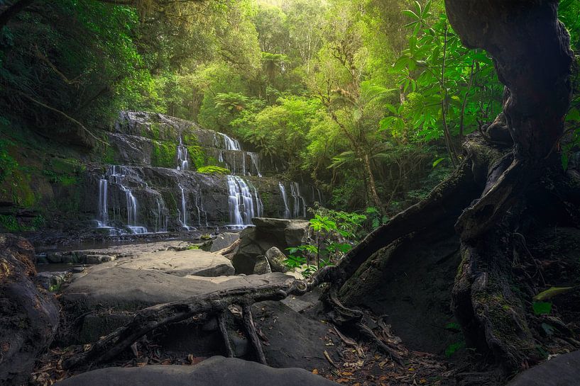 Purakaunui Waterfall (South Island New Zealand) by Niko Kersting