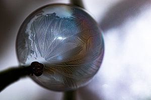 Bulle gelée bulle bulle