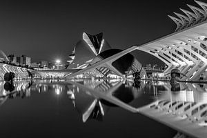 City of Sciences in Valencia van Rene Siebring