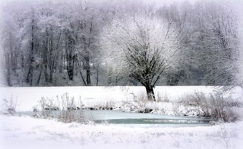 Winter by the lake