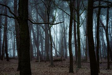 Bomen en Mist VI van Onbegonnen werk