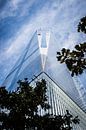 Freedom Tower van Thomas van Houten thumbnail