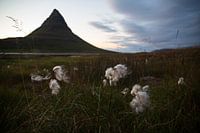 Kirkjufell mountain in Iceland