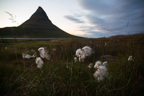 Kirkjufell berg in IJsland