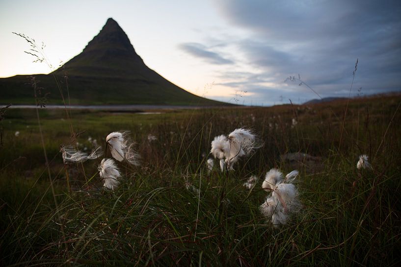 Kirkjufell mountain in Iceland by Summer van Beek