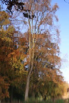 Reflectie van boom in water van Bobsphotography