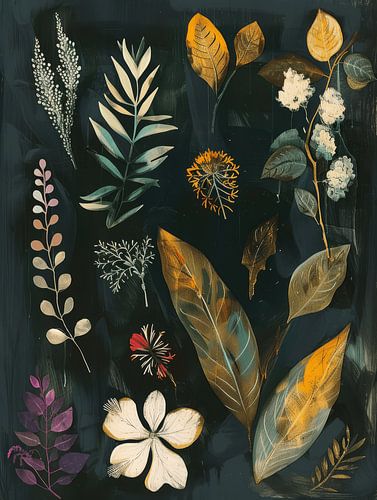 Botanische illustratie