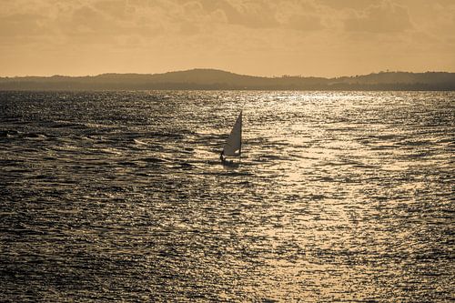 Zeilbootlaser in de Baai van Alle Heiligen in de stad van Salvador Brazil