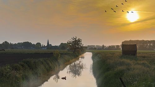 Zonsopkomst in de Betuwe