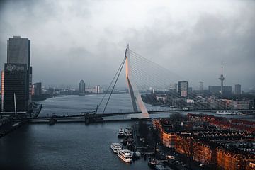 Rotterdam depuis le Hefbrug.
