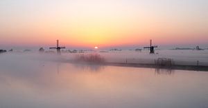 Frühlingsmorgen im Polder von Kees van den Burg