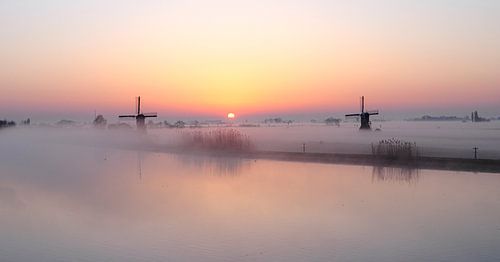 Spring morning in the polder