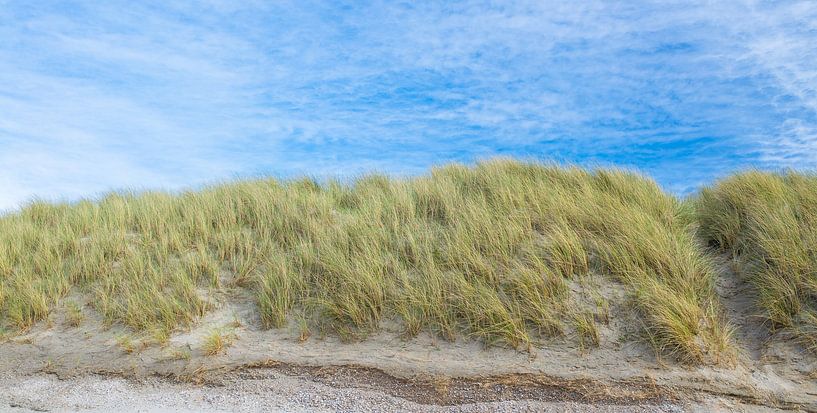 Dunes by Bassie's winkel