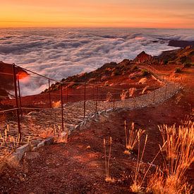 Sonnenaufgang über den Wolken, Pico Ruivo, Madeira von Sebastian Rollé - travel, nature & landscape photography