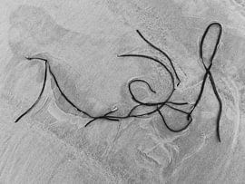 Lying Nude by Bernadette van Beurten | ideeënkunstenaar| SCHIERBLIKKEN |