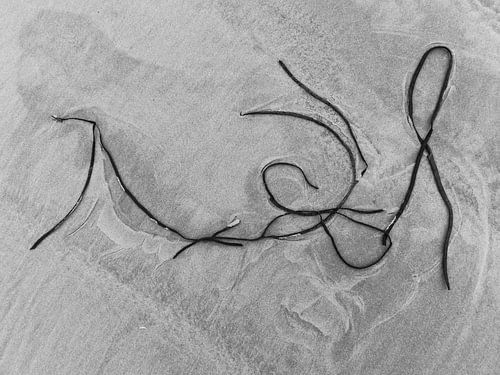 Liggend naakt_Schierblikken_RW_#1 von Bernadette van Beurten | ideeënkunstenaar| SCHIERBLIKKEN |