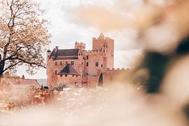 Château de Beynac en France | Travel Fine-Art sur Madinja Groenenberg