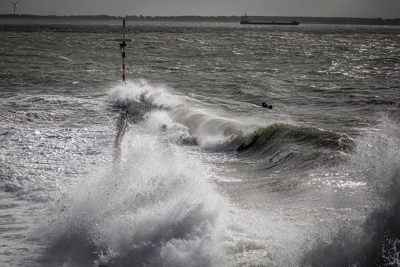 Storm von Linda Raaphorst