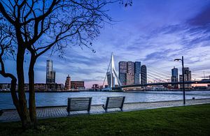 Erasmus-Brücke Rotterdam von Jeroen Mikkers