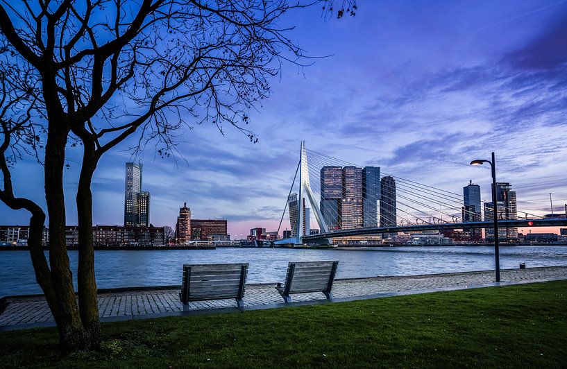 Erasmus Bridge Rotterdam by Jeroen Mikkers