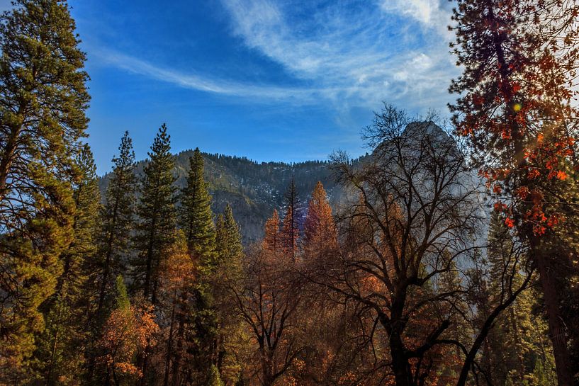 Herfst in Yosemite park van Rolf Linnemeijer