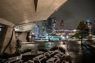 Cruise ships in Rotterdam under Erasmus Bridge, night photography by Renzo Gerritsen thumbnail