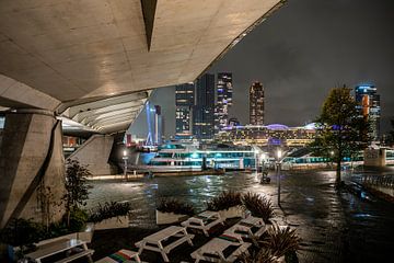 Cruise ships in Rotterdam under Erasmus Bridge, night photography by Renzo Gerritsen
