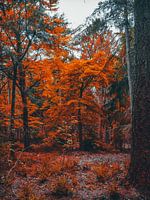 Herbst 1