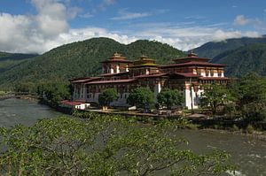 Punakha Dzong van Andrea Ooms