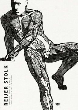 Reijer Stolk - Étude anatomique d'un homme 01