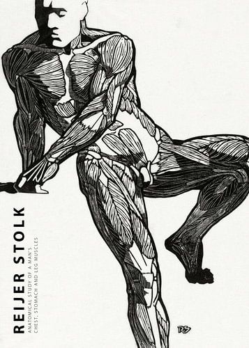 Reijer Stolk - Anatomical Study of a Man 01