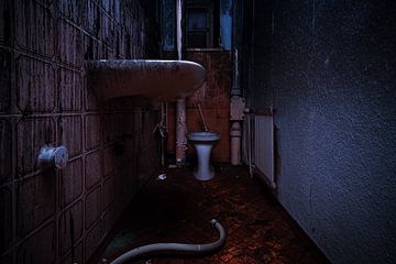 Het verbrande toilet van MindScape Photography