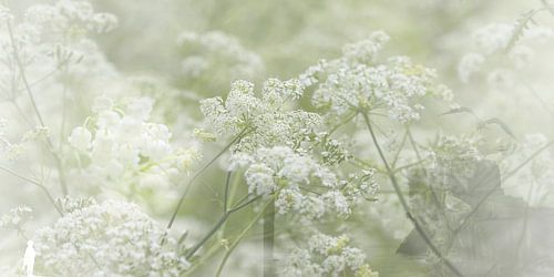 WEICHE LANDUNG IN DER FLAUTE