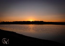 Zon achter bomen van Melissa de Vries