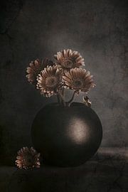 Ombres errantes sur Cicek Kiral