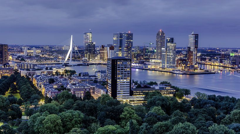 Rotterdam vanaf de Euromast van Dick van der Wilt