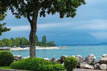 Gardasee bei Desenzano del Garda in Italien sur Animaflora PicsStock