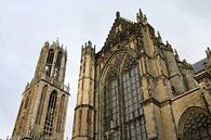 Tour Dom et église Dom à Utrecht (2) par Merijn van der Vliet Aperçu