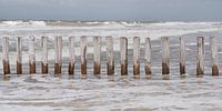 Breakwaters in the water on the beach of Cadzand Zeeland