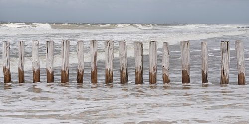 Rust op het strand: Golfbrekers in de water op het strand van Cadzand