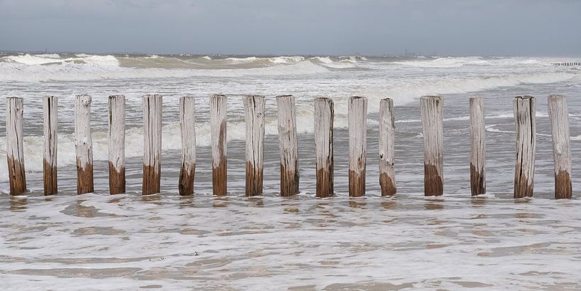 Breakwaters in the water on the beach of Cadzand Zeeland by Marjolijn van den Berg