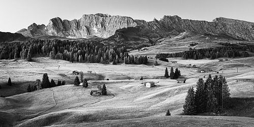 Alpe di Siusi in zwart-wit