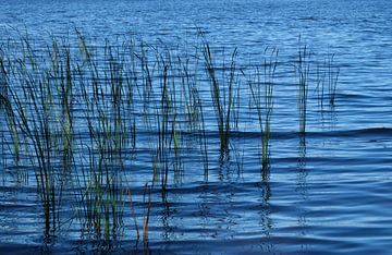 More in sweden by Geertjan Plooijer